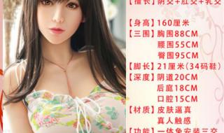 女性机器人价格多少