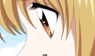 人鱼的旋律中文歌曲