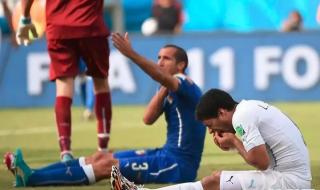 2014年意大利世界杯 2014年意大利世界杯